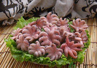 八爪魚(yú)煮多久才好？八爪魚(yú)需要煮多久？