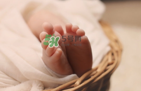 孕婦怎么吃燕窩最好？哪些孕媽需要吃燕窩？