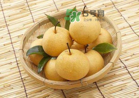 梨子怎么保存？梨子可以放冰箱嗎