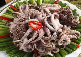 八爪魚可以冷凍嗎？八爪魚可以放冰箱嗎？