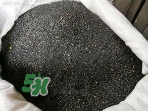 怎么看男人腎好不好？男人腎虛吃什么調(diào)理？