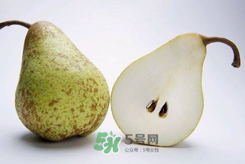 梨子核可以種盆栽嗎？梨子籽怎么種小盆栽