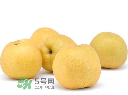 碭山梨什么時(shí)候成熟？碭山梨幾月份成熟