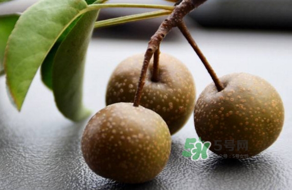 棠梨子怎么吃？棠梨子孕婦可以吃嗎