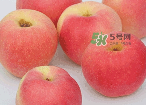 嘎啦蘋果什么時(shí)候摘袋？嘎啦果什么時(shí)候成熟上市