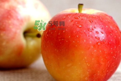 嘎啦蘋果多少錢？嘎啦果多少錢一斤