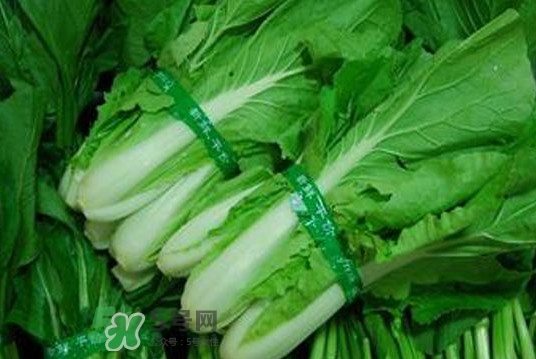 水白菜可以吃嗎？水白菜能吃嗎