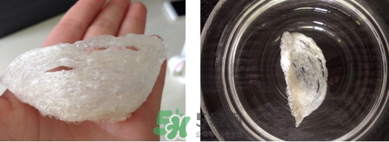 燕窩用什么鍋燉最好吃？燕窩用什么器具燉最好？