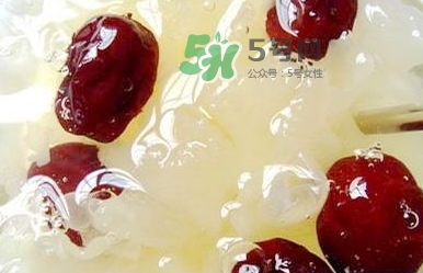 燕窩用什么鍋燉最好吃？燕窩用什么器具燉最好？