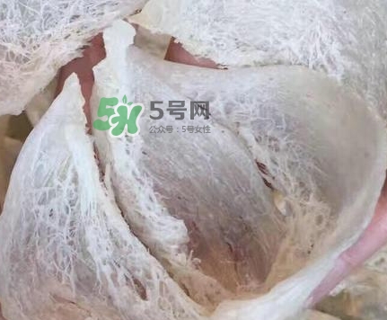 燕窩里面含有激素嗎？燕窩兒童吃了會(huì)不會(huì)性早熟？