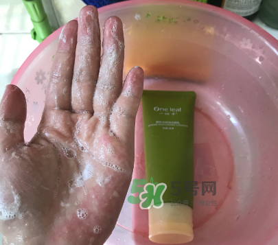 一葉子補水潔面乳怎么樣？一葉子補水洗面奶好用嗎？