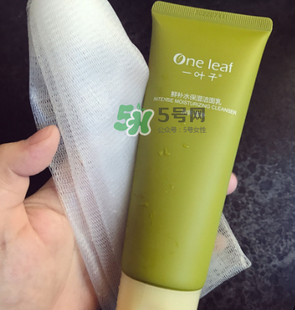 一葉子補水潔面乳怎么樣？一葉子補水洗面奶好用嗎？