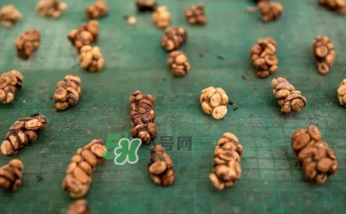 貓屎咖啡是怎么來的？貓屎咖啡的由來
