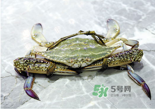 梭子蟹可以和酸奶一起吃嗎？吃完梭子蟹能喝酸奶嗎？