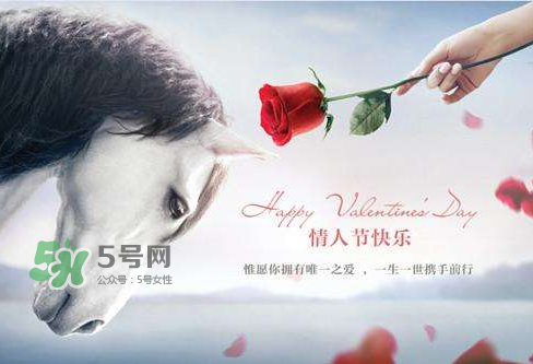 roseonly怎么樣？roseonly好看嗎？