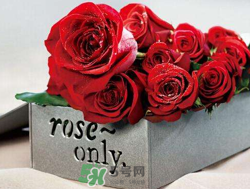 roseonly怎么樣？roseonly好看嗎？