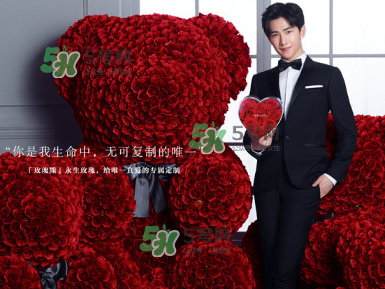 roseonly熊什么材質(zhì)？roseonly玫瑰熊是真花嗎？