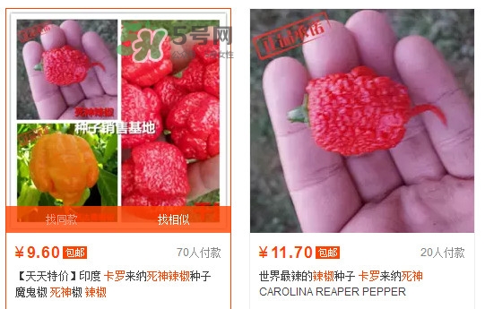 卡羅萊納死神辣椒中國有嗎？死神辣椒哪里有賣