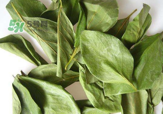 怎樣制作柿子葉茶？柿子葉茶的做法