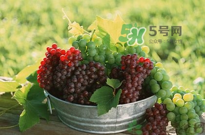 秋天成熟的水果有哪些？秋天吃水果有哪些禁忌