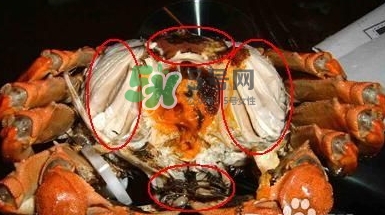 螃蟹怎么吃好吃？螃蟹和什么一起吃最好？