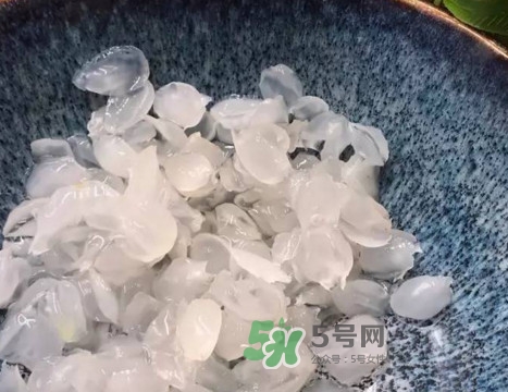 皂角米可以直接煮嗎？皂角米和什么一起煮好