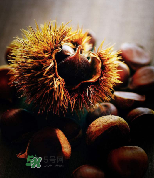 板栗能補(bǔ)腎嗎？板栗補(bǔ)腎陰還是腎陽(yáng)？