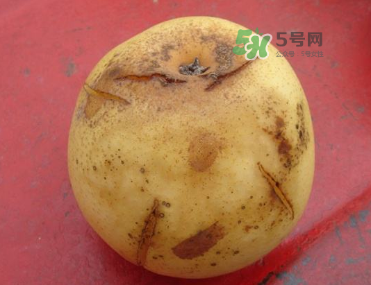 皇冠梨雞爪病能吃嗎？皇冠梨雞爪病怎么辦？
