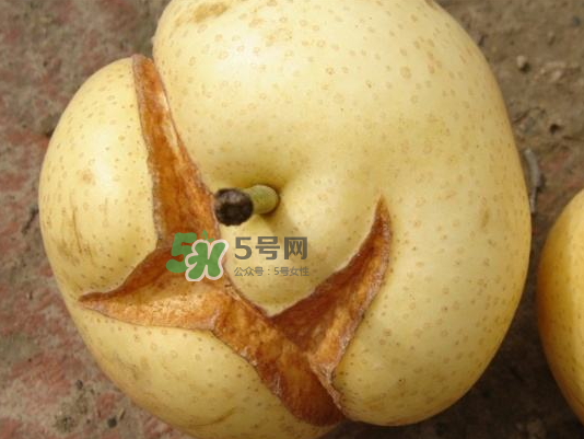 皇冠梨雞爪病能吃嗎？皇冠梨雞爪病怎么辦？