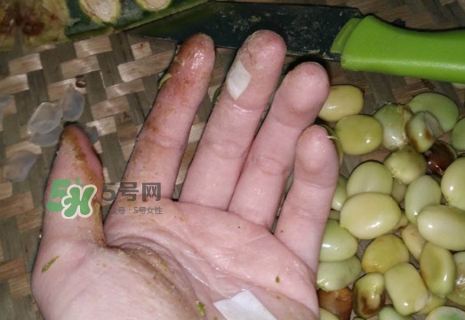 皂角米是怎么剝出來的？皂角米是酸性還是堿性