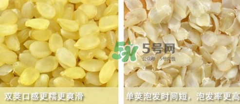 皂角米吃了有什么好處？皂角米的功效與作用