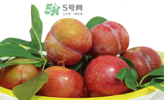 芙蓉李多少錢一斤？芙蓉李價(jià)格