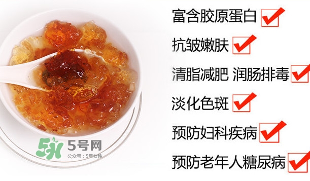 桃膠是桃樹上的膠嗎？桃膠是什么味道