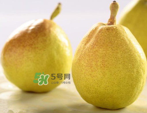 香梨能不能熬冰糖雪梨？香梨可以做冰糖雪梨嗎？