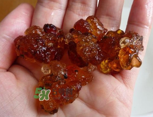 桃膠哪里有賣的？哪里產(chǎn)的桃膠最好