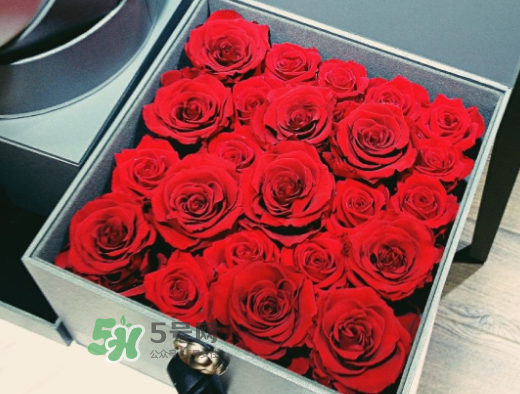 roseonly怎么買？roseonly如何買第二次？