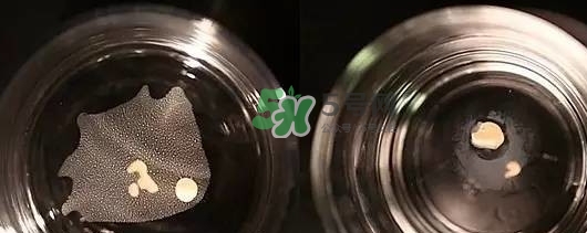 資生堂智能持久粉底液怎么樣？資生堂智能粉底液怎么用