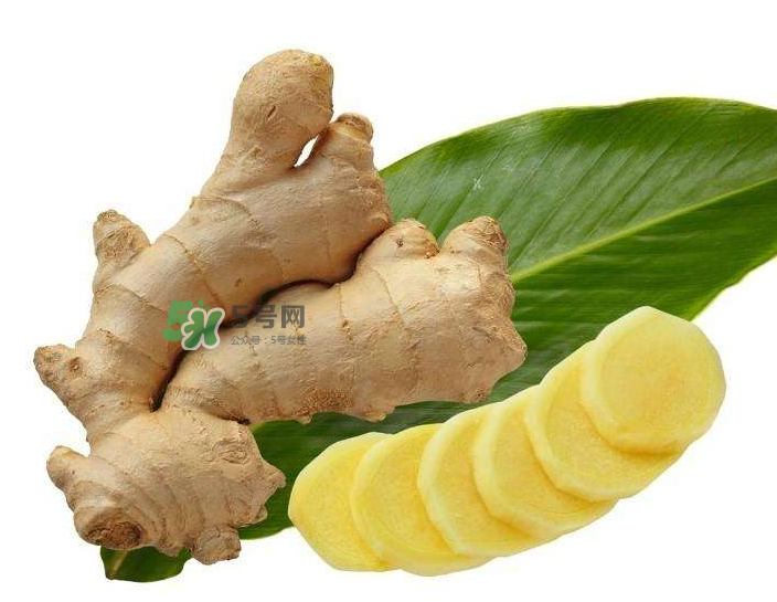 胃病患者可以長(zhǎng)期食用生姜嗎？胃不好能不能吃姜？