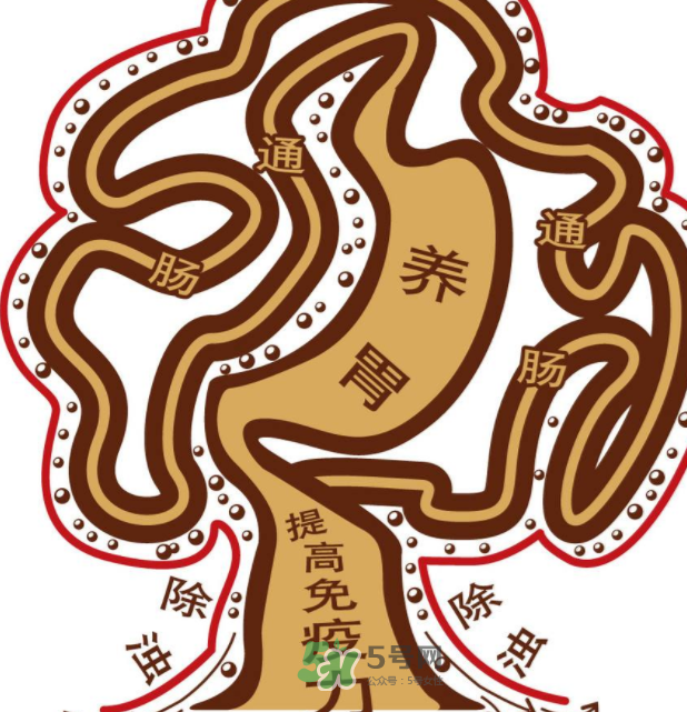 腸胃不好會引起頭暈嗎？頭暈與腸胃不好有關系嗎？