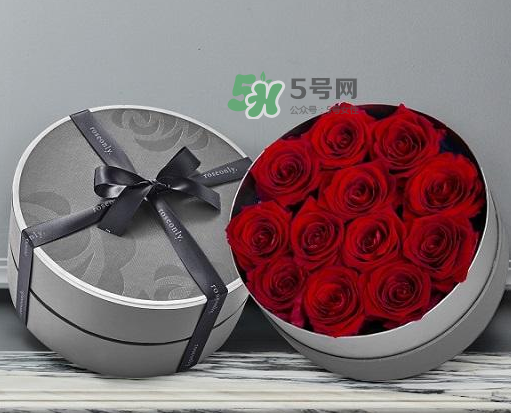 roseonly怎么讀？roseonly怎么讀在線讀？