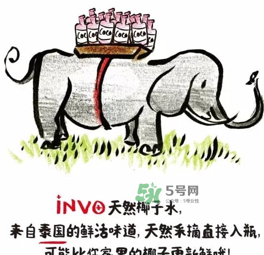 invo椰子水多少錢？invo椰子水好喝嗎？