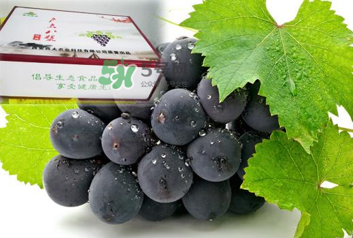 戶太八號(hào)什么時(shí)候成熟？戶太八號(hào)幾月份成熟？