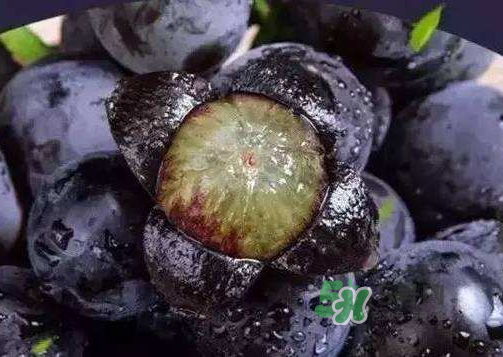 戶太八號(hào)多少錢一斤？戶太八號(hào)為什么在全國(guó)很有名？