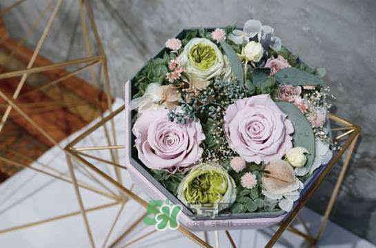 野獸派永生花會死嗎？野獸派永生花是什么？