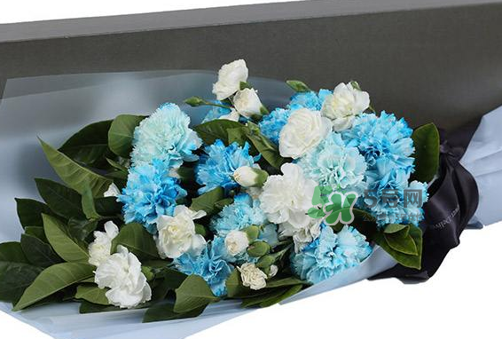 joyflower是哪國(guó)品牌？joyflower怎么樣？