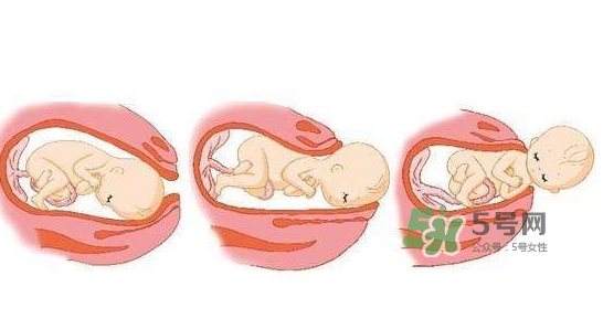 胎兒什么時(shí)候入盆？胎兒入盆后胎動(dòng)會(huì)減少嗎？