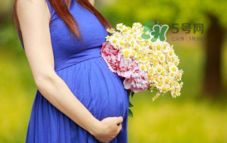 孕婦可以拔牙嗎？孕婦可以拔智齒嗎？