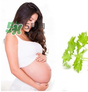 孕婦可以拔牙嗎？孕婦可以拔智齒嗎？