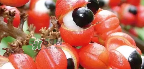 黑卡飲料多少錢一瓶？黑卡6小時(shí)價(jià)格表