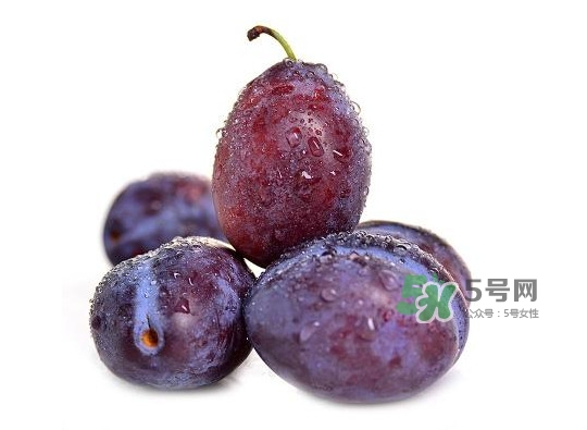 西梅怎么挑選？新鮮西梅怎么保存